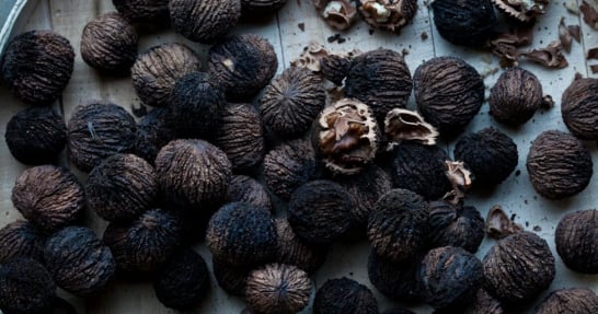 Black Walnut